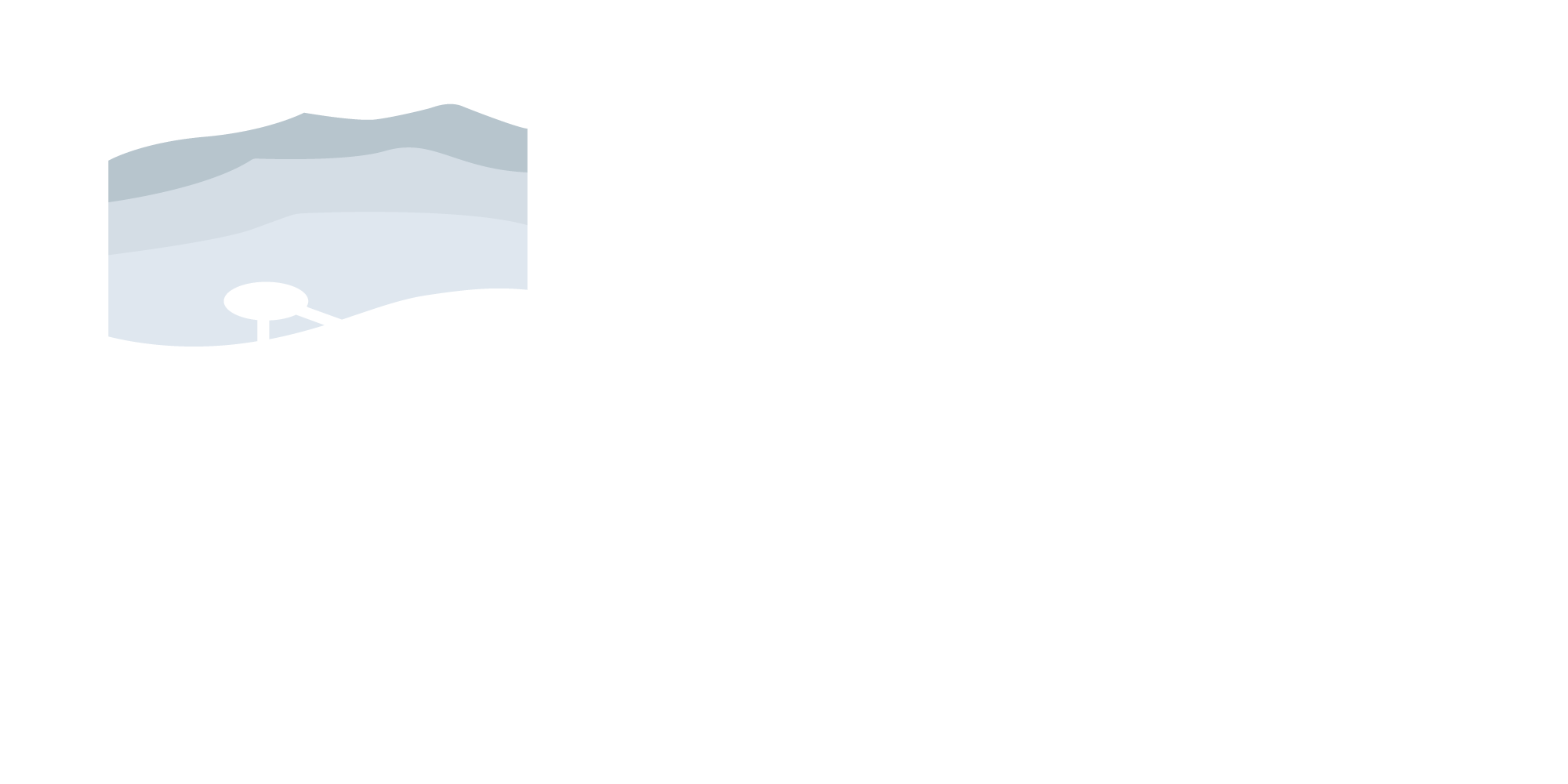 RCP Network Logo - white